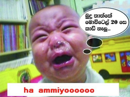 Sri Lanka Fun Photo Gallery The Best Sri Lankan Jokes New Blog
